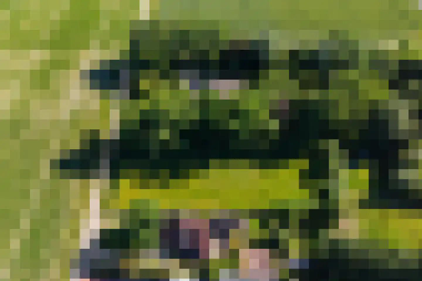 Tweehuizerweg 12 A Spijk thumbnail 4