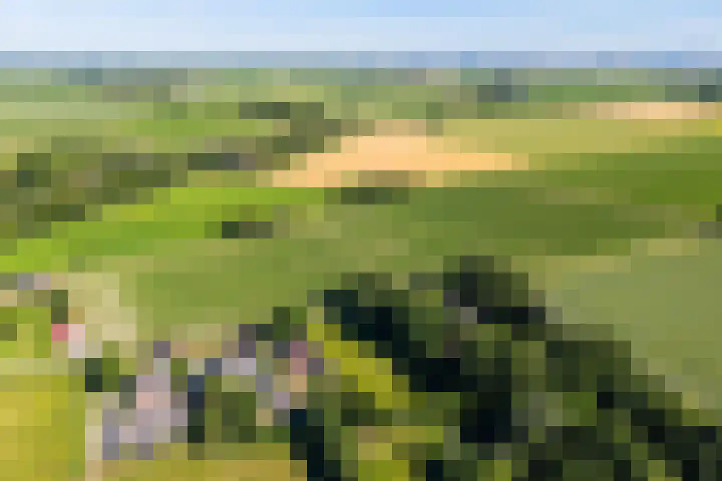 Tweehuizerweg 12 A Spijk thumbnail 5