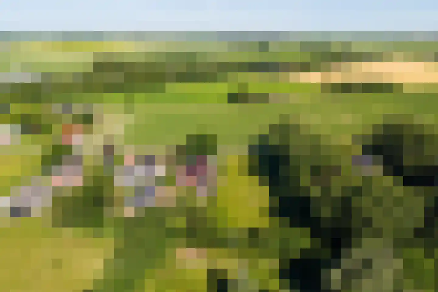 Tweehuizerweg 12 A Spijk thumbnail 6