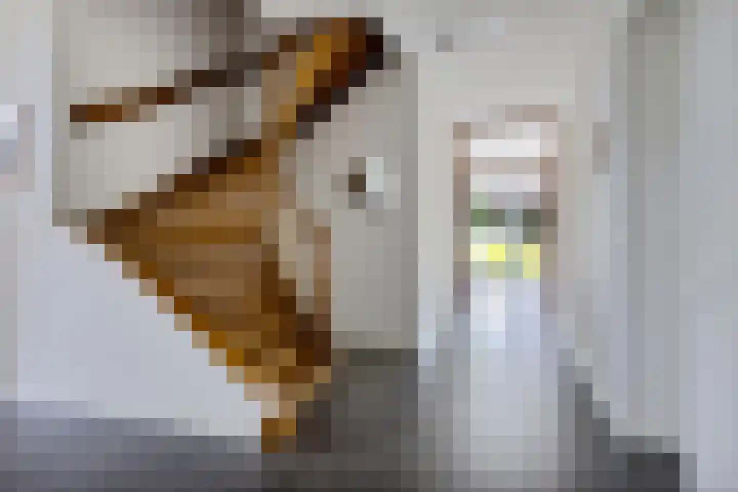 Tweehuizerweg 19 Spijk thumbnail 10
