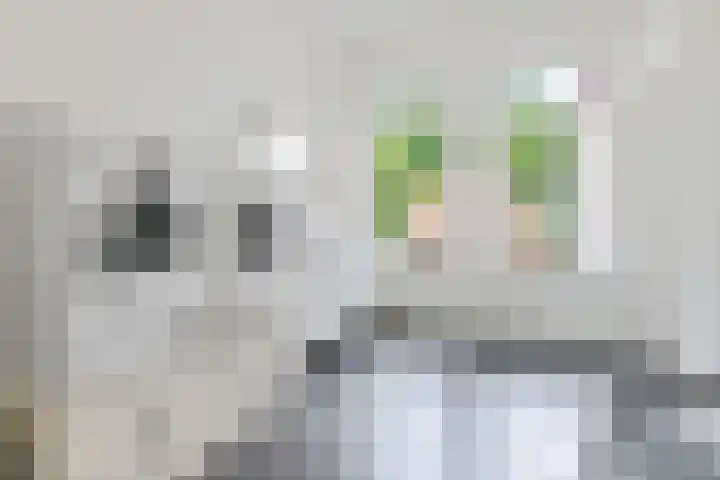Tweehuizerweg 19 Spijk thumbnail 18