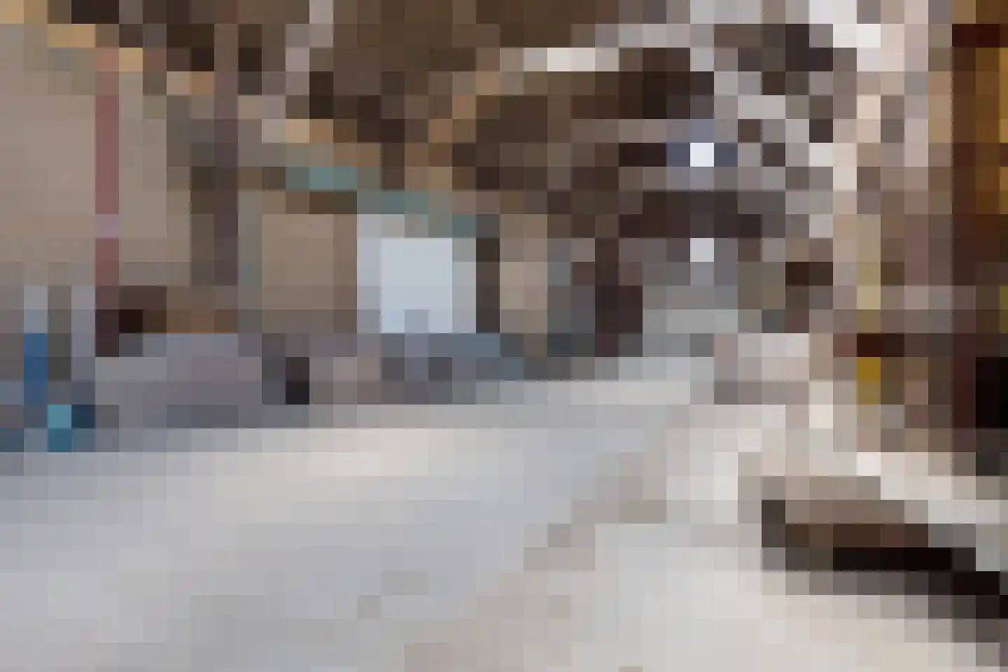 Tweehuizerweg 19 Spijk thumbnail 23