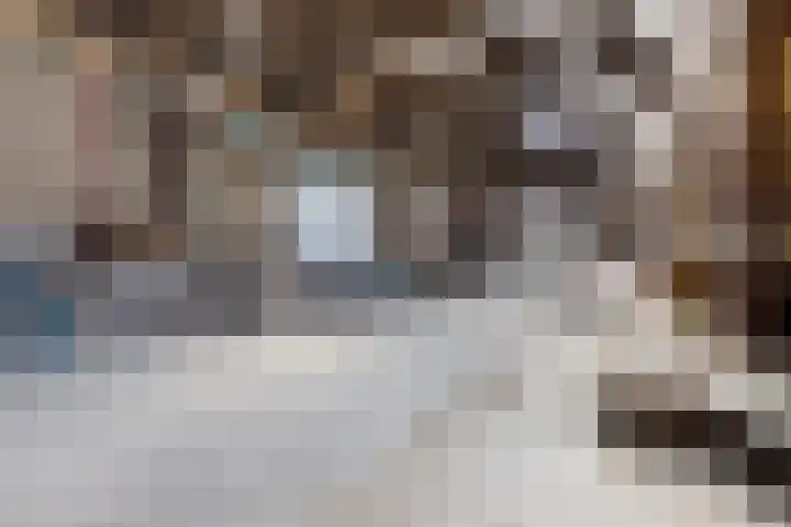 Tweehuizerweg 19 Spijk thumbnail 23