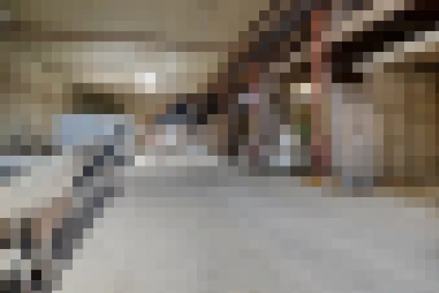 Tweehuizerweg 19 Spijk thumbnail 24