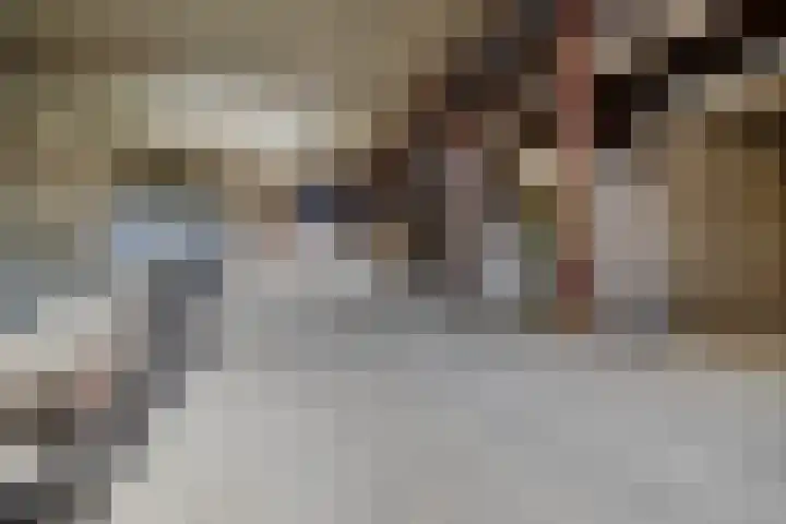 Tweehuizerweg 19 Spijk thumbnail 24