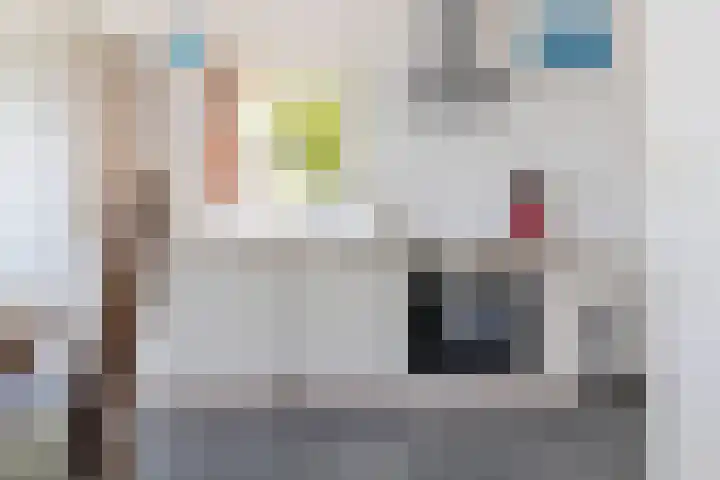 Tweehuizerweg 19 Spijk thumbnail 28