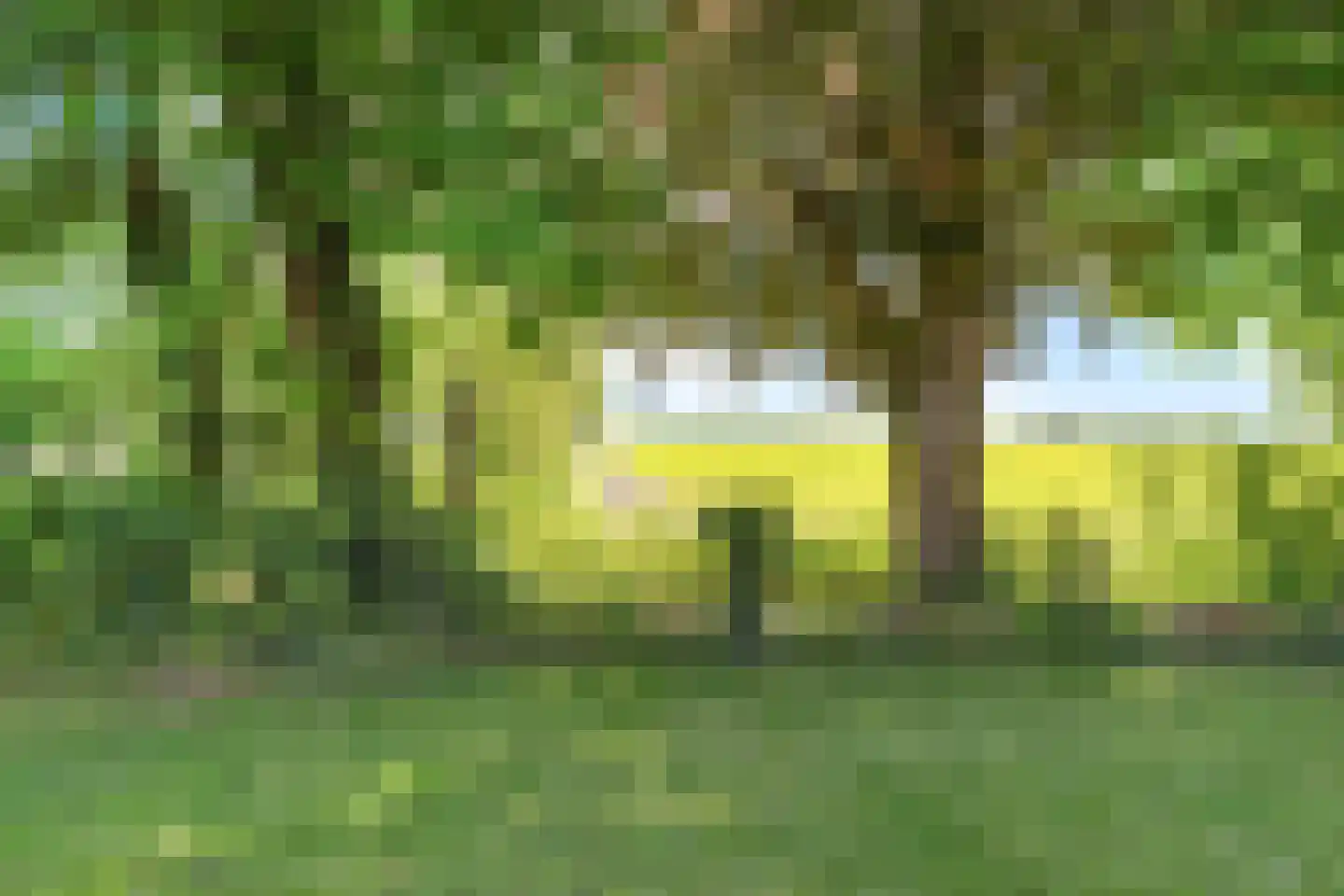 Tweehuizerweg 19 Spijk thumbnail 34