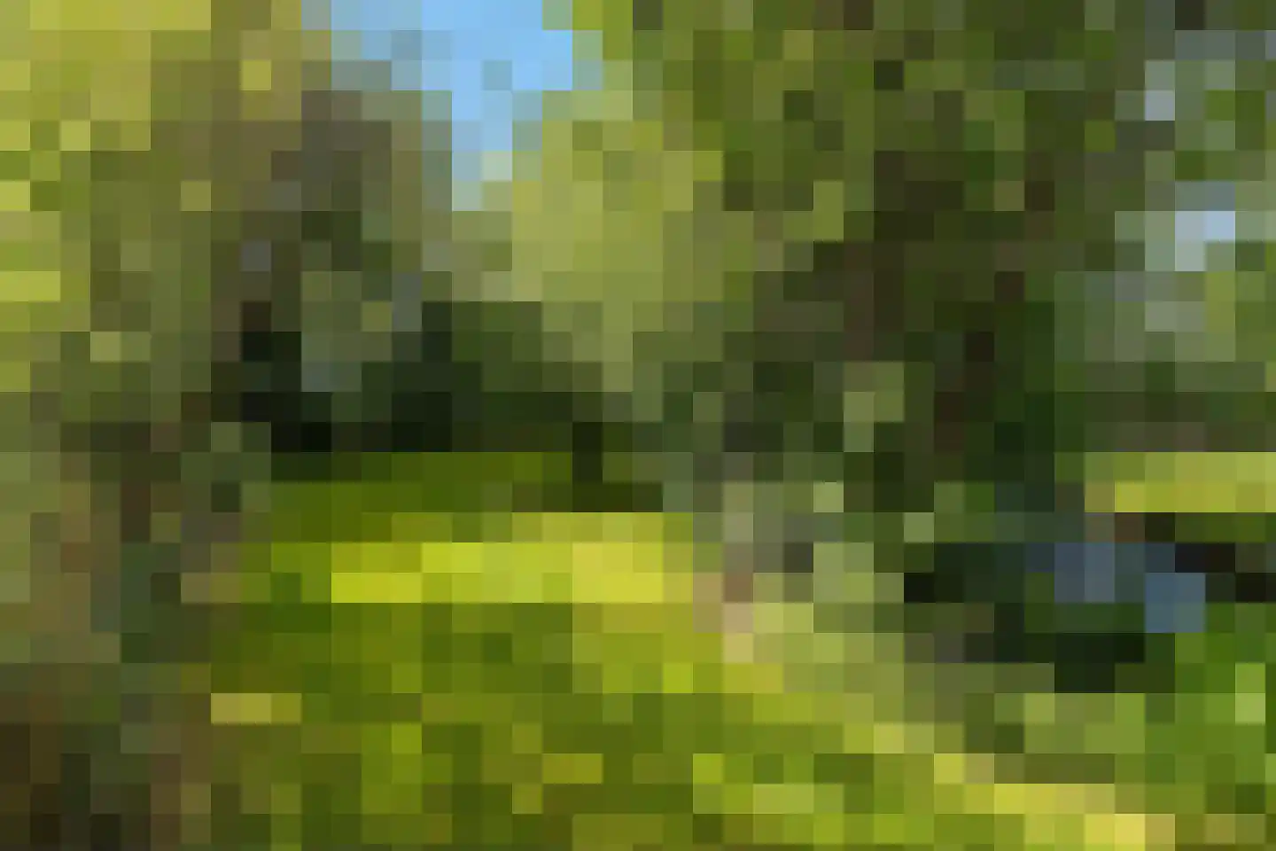 Tweehuizerweg 19 Spijk thumbnail 36
