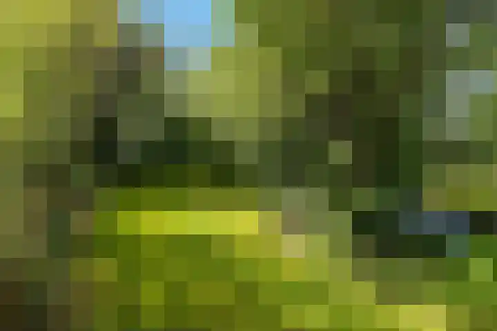 Tweehuizerweg 19 Spijk thumbnail 36