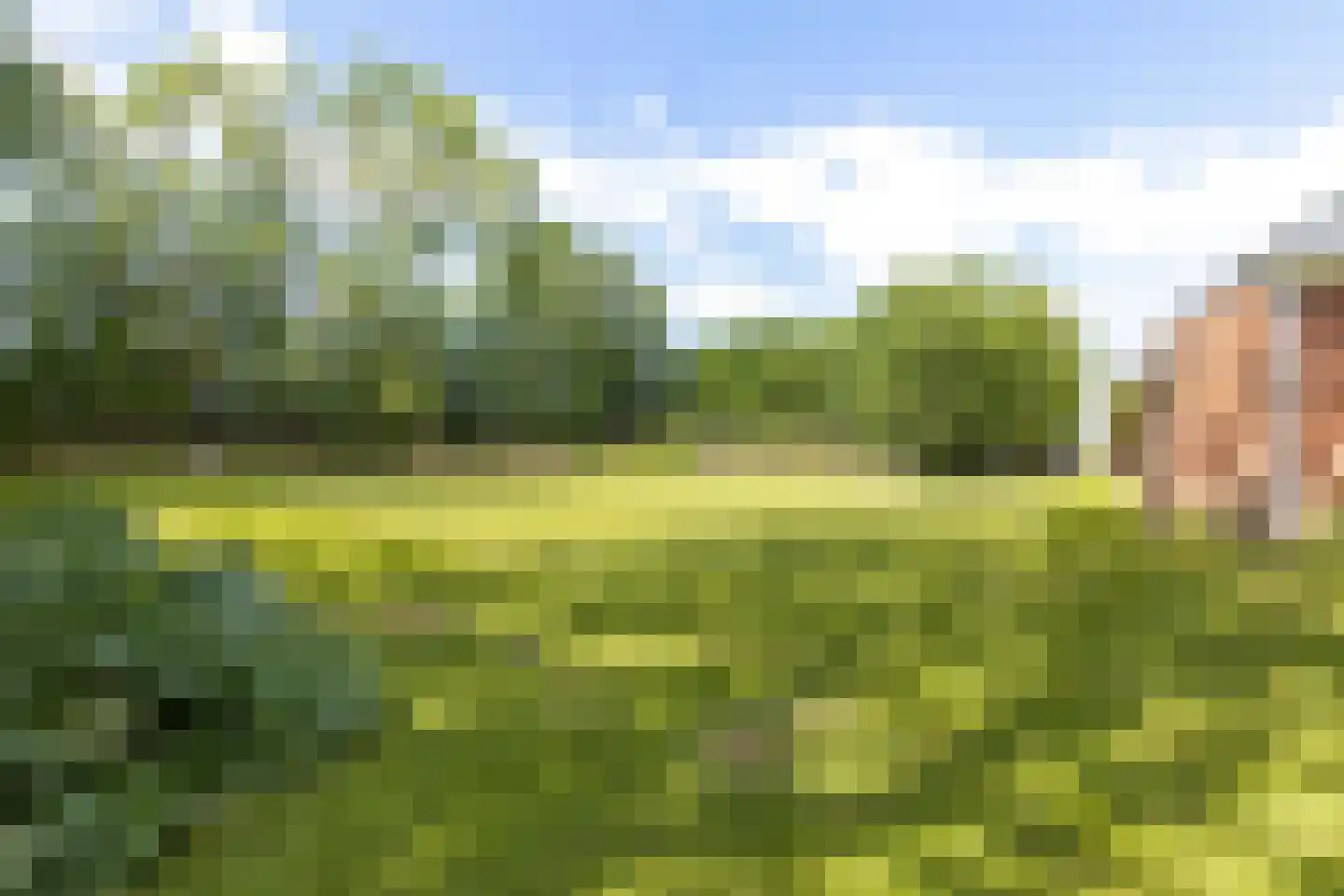 Tweehuizerweg 19 Spijk thumbnail 38