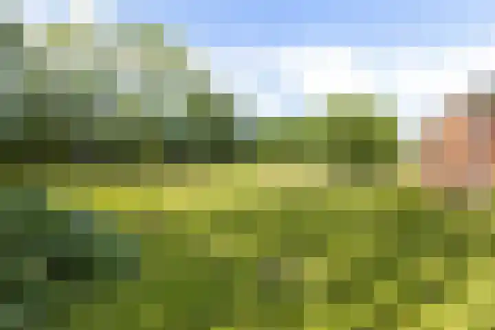 Tweehuizerweg 19 Spijk thumbnail 38