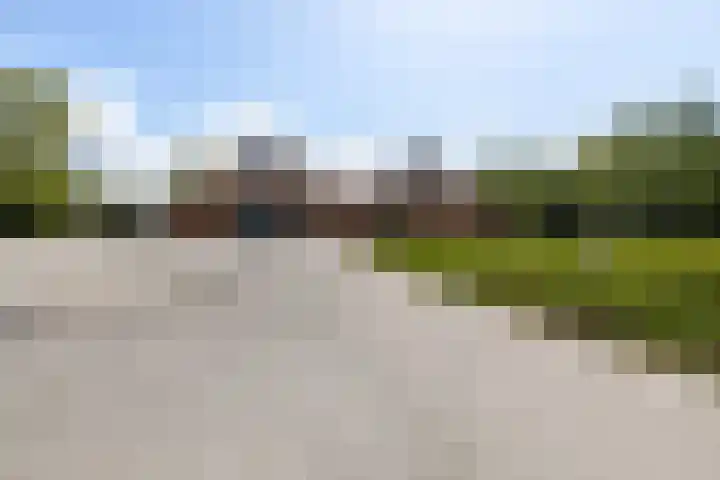 Tweehuizerweg 19 Spijk thumbnail 39