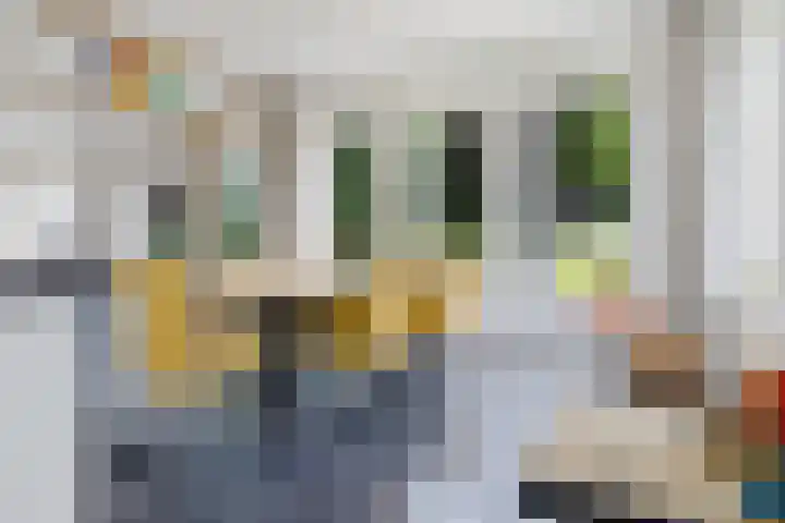 Tweehuizerweg 19 Spijk thumbnail 8