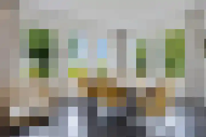 Tweehuizerweg 19 Spijk thumbnail 9