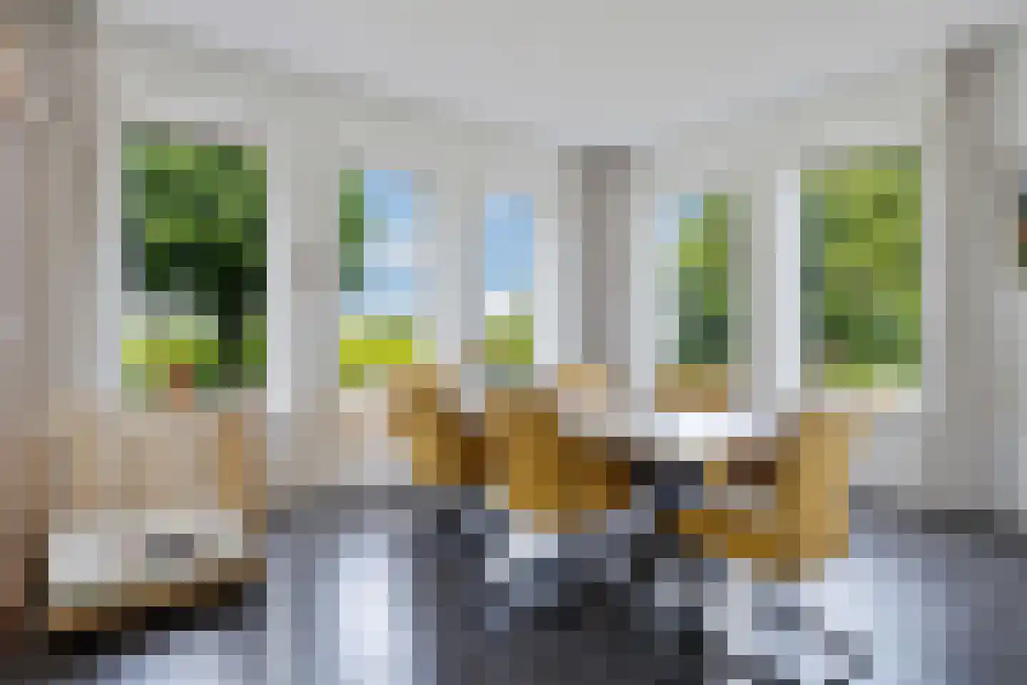 Tweehuizerweg 19 Spijk thumbnail 9