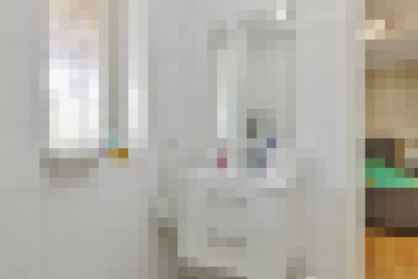 Tweehuizerweg 7 Spijk thumbnail 22