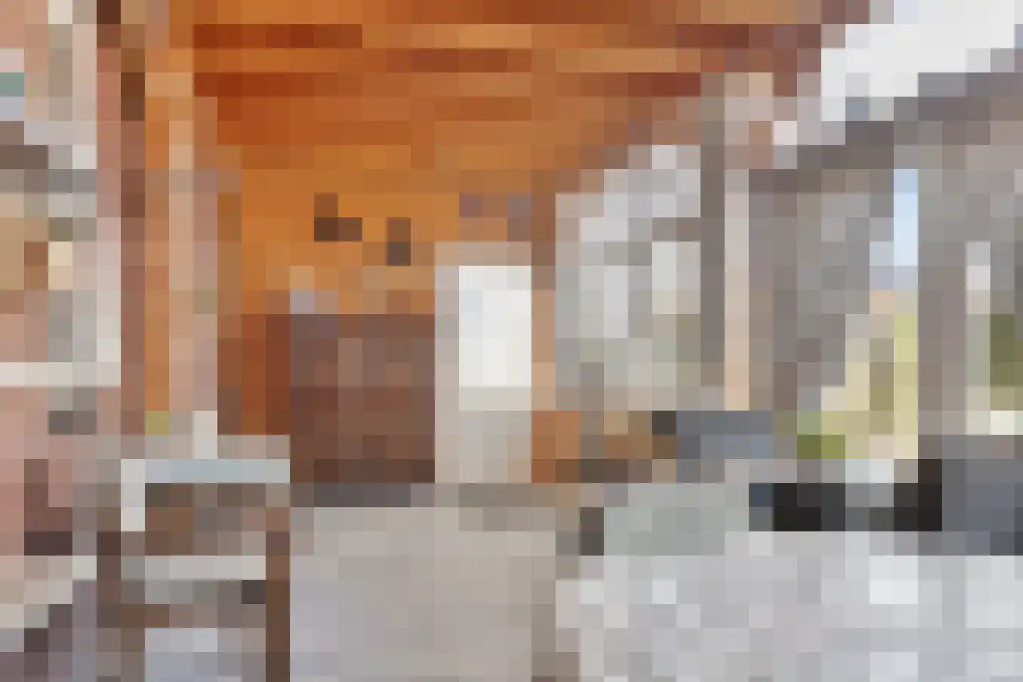 Tweehuizerweg 7 Spijk thumbnail 26