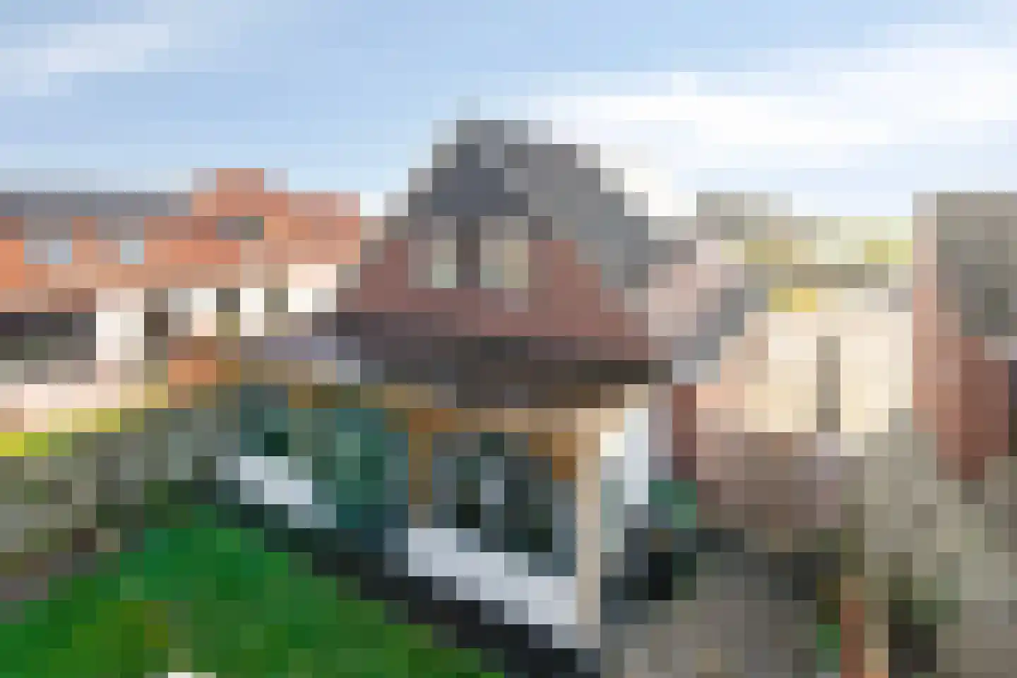 Tweehuizerweg 7 Spijk thumbnail 45