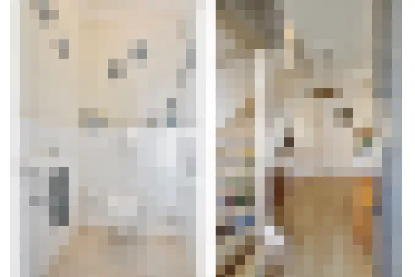 Tweehuizerweg 7 Spijk thumbnail 9