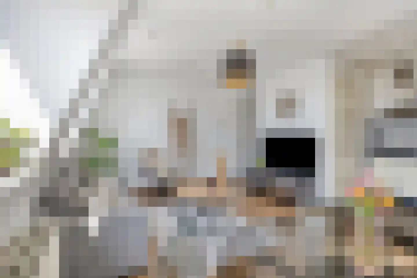 Tweeling 13 Valkenswaard thumbnail 15