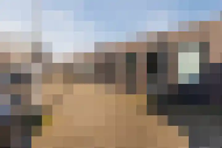 Tweeling 16 Valkenswaard thumbnail 26