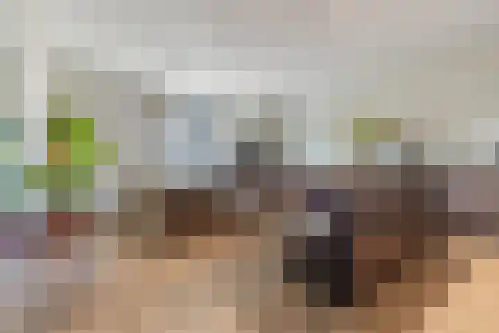Tweeling 16 Valkenswaard thumbnail 8