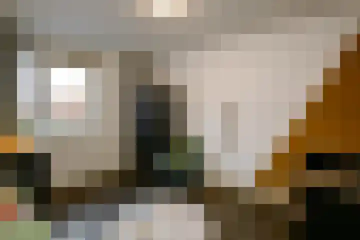Tweelingen 1 Elst thumbnail 19