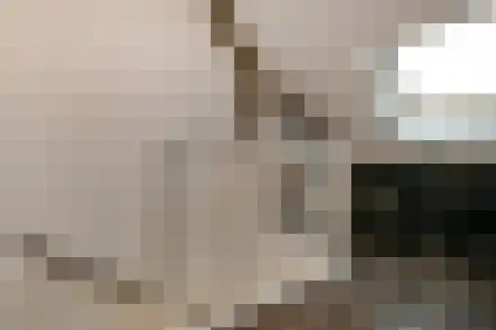 Tweelingen 1 Elst thumbnail 25
