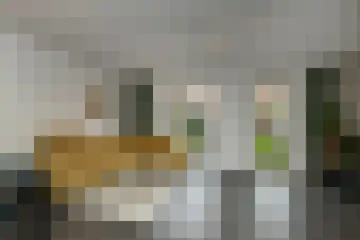 Tweelingen 1 Elst foto 3
