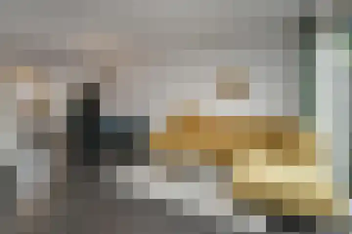 Tweelingen 1 Elst thumbnail 6