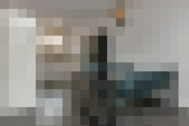 Tweelingen 1 Elst thumbnail 8