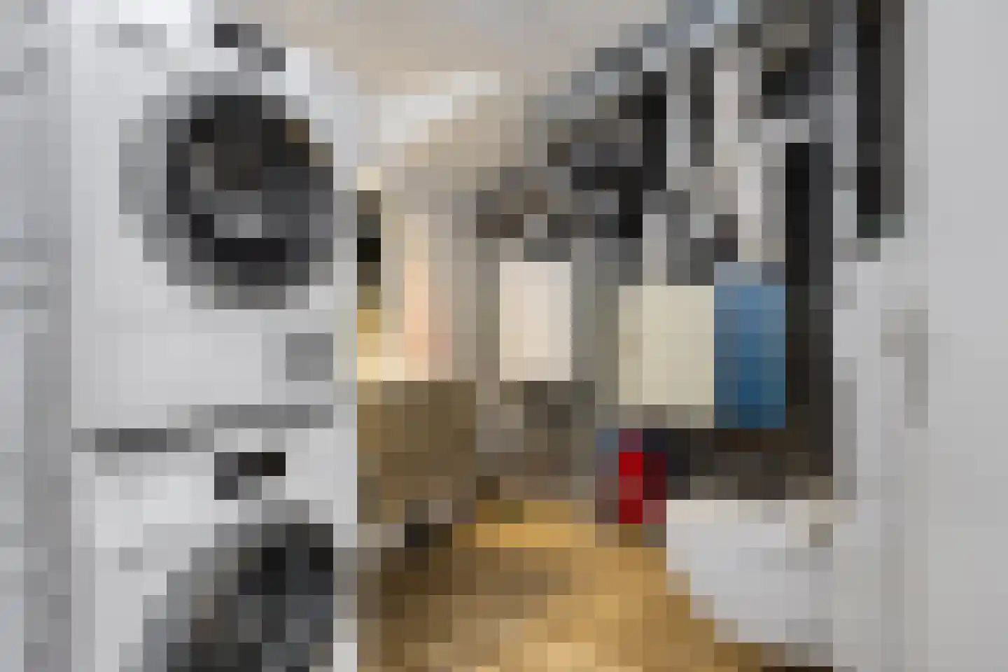 Tweelingen 11 Amersfoort thumbnail 25