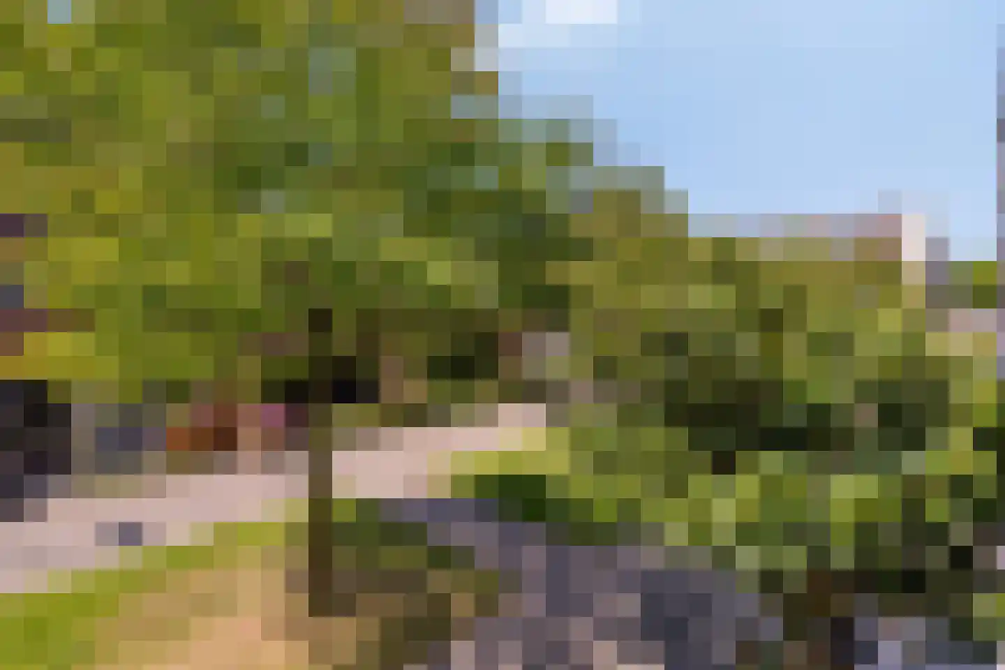 Tweelingen 11 Amersfoort thumbnail 32