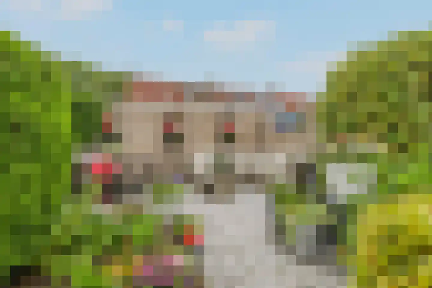 Tweelingen 13 Katwijk thumbnail 27