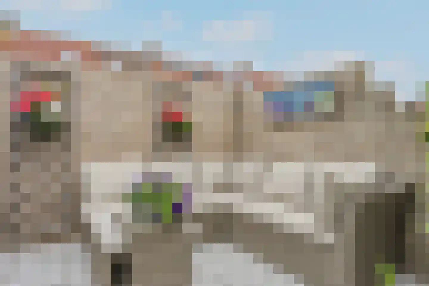 Tweelingen 13 Katwijk thumbnail 29