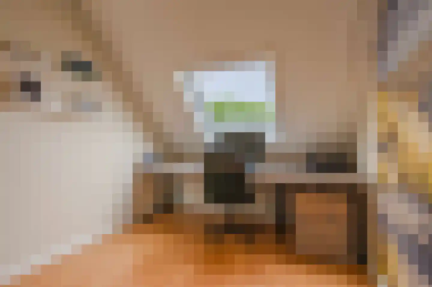 Tweelingen 13 Katwijk thumbnail 41