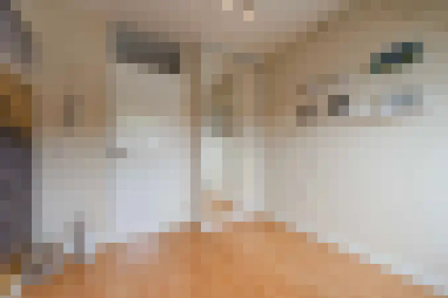 Tweelingen 13 Katwijk thumbnail 42