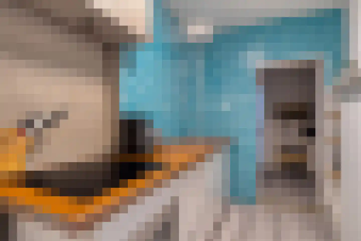 Tweelingen 2 Elst thumbnail 16