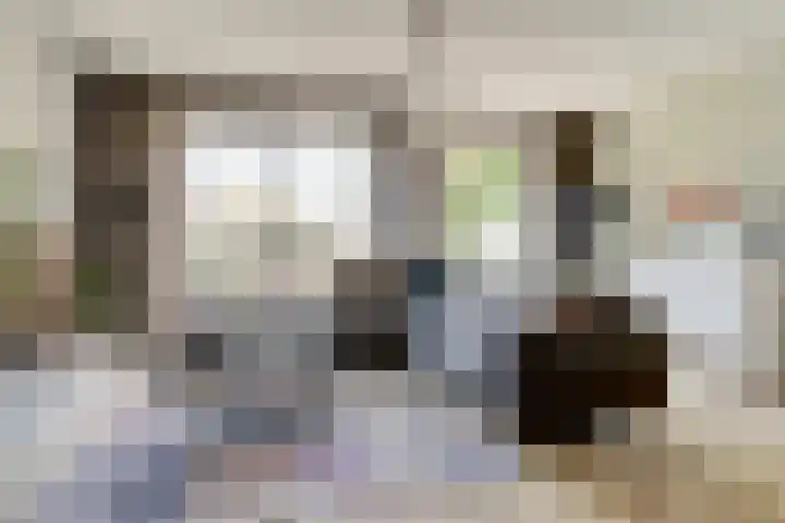 Tweelingen 2 Elst foto 2