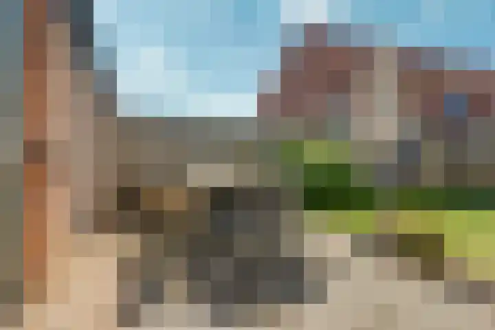 Tweelingen 2 Elst thumbnail 27