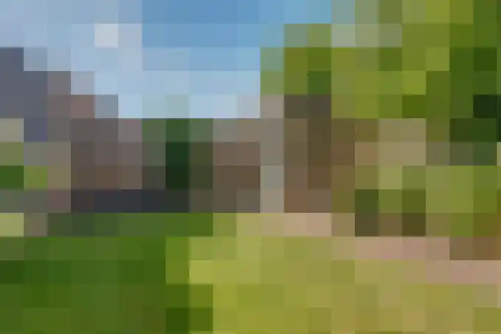 Tweelingen 2 Elst thumbnail 28