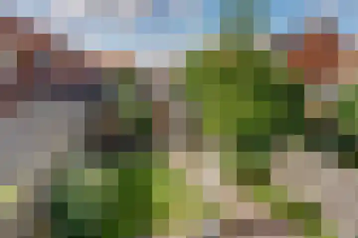 Tweelingen 2 Elst thumbnail 29