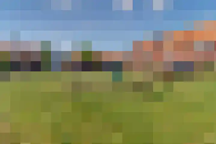 Tweelingen 2 Elst thumbnail 33