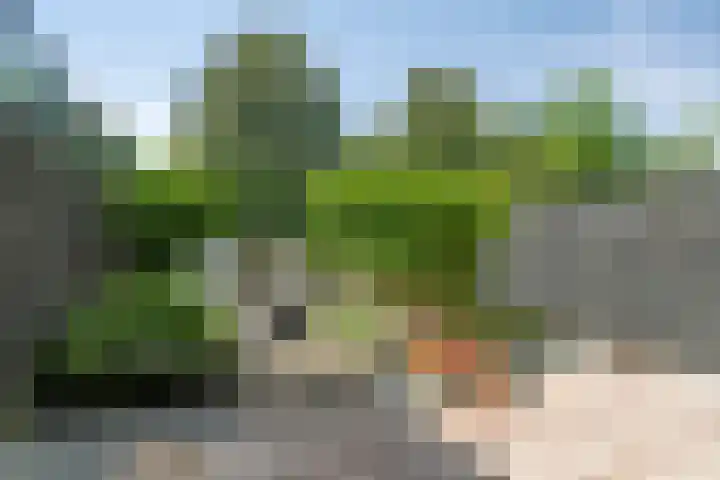 Tweelingen 21 Zeewolde thumbnail 36