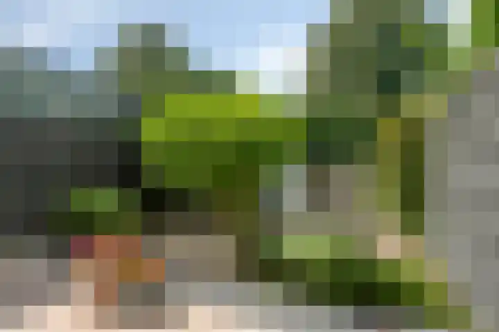 Tweelingen 21 Zeewolde thumbnail 37