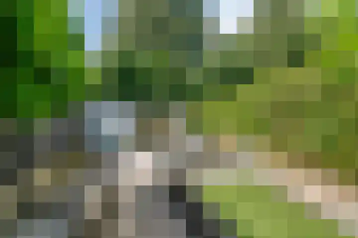 Tweelingen 21 Zeewolde thumbnail 38
