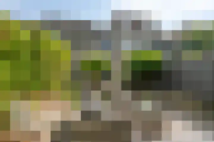 Tweelingen 21 Zeewolde thumbnail 39