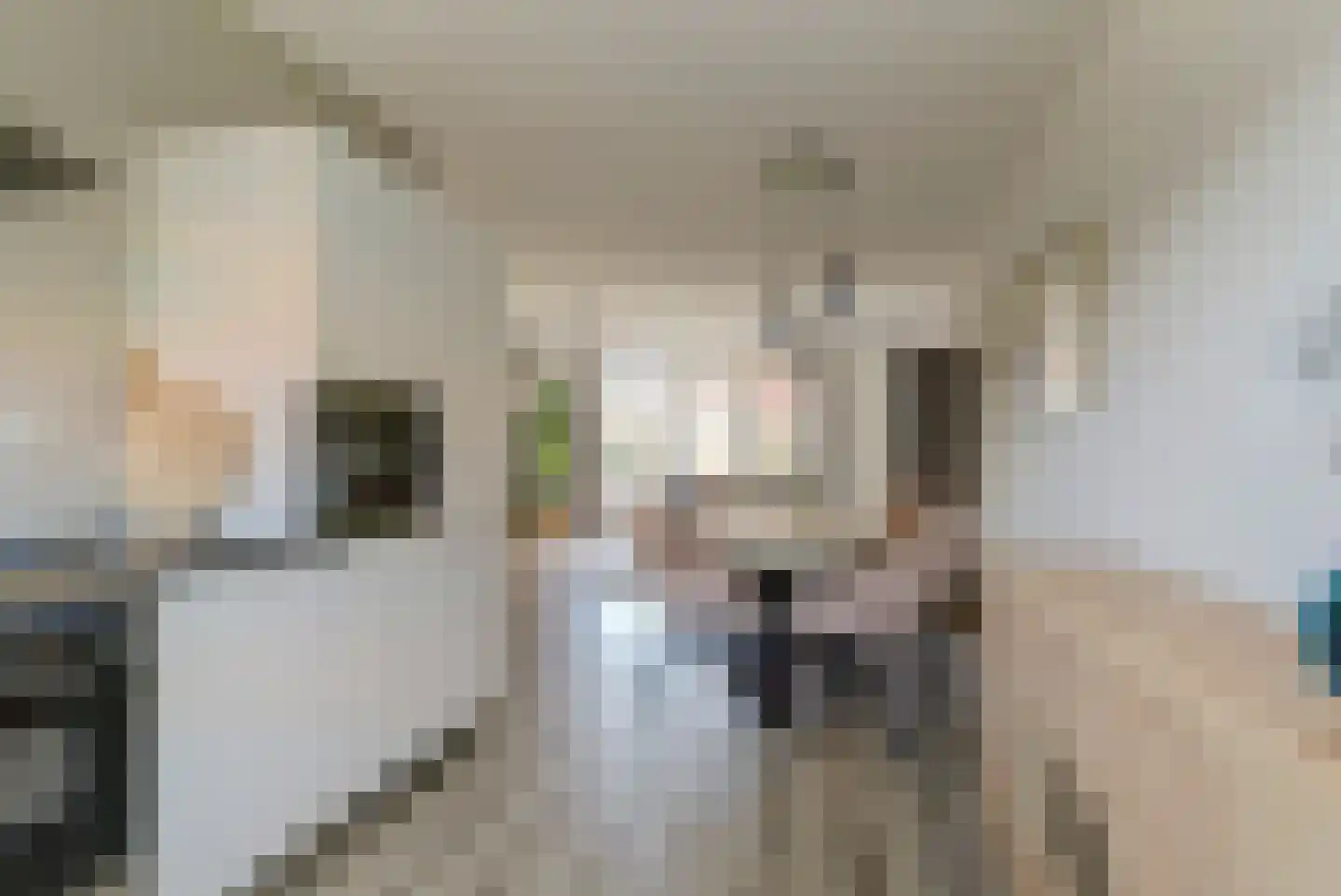 Tweelingen 22 Elst thumbnail 10