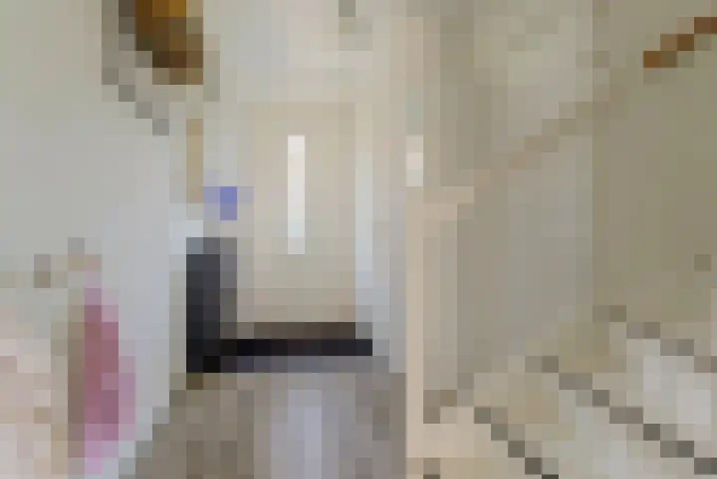 Tweelingen 22 Elst thumbnail 12