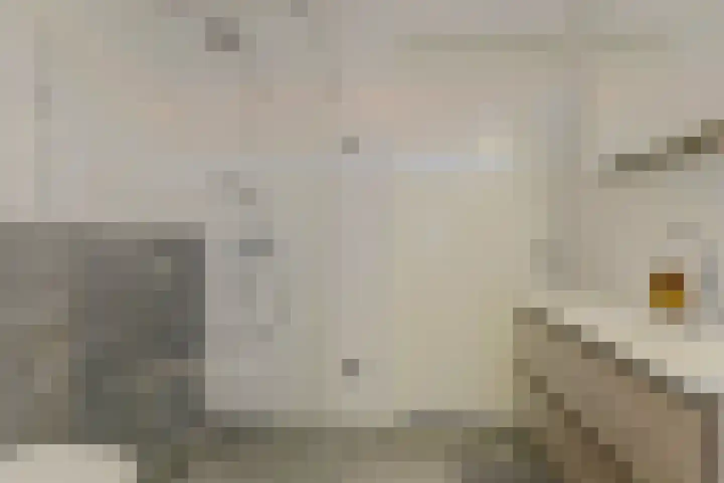 Tweelingen 22 Elst thumbnail 20
